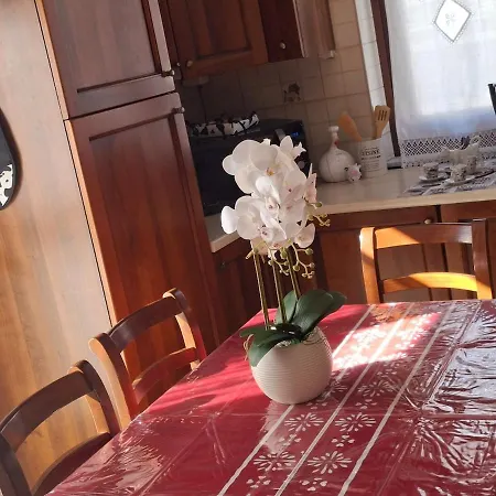 Apartment Casa Sirley *